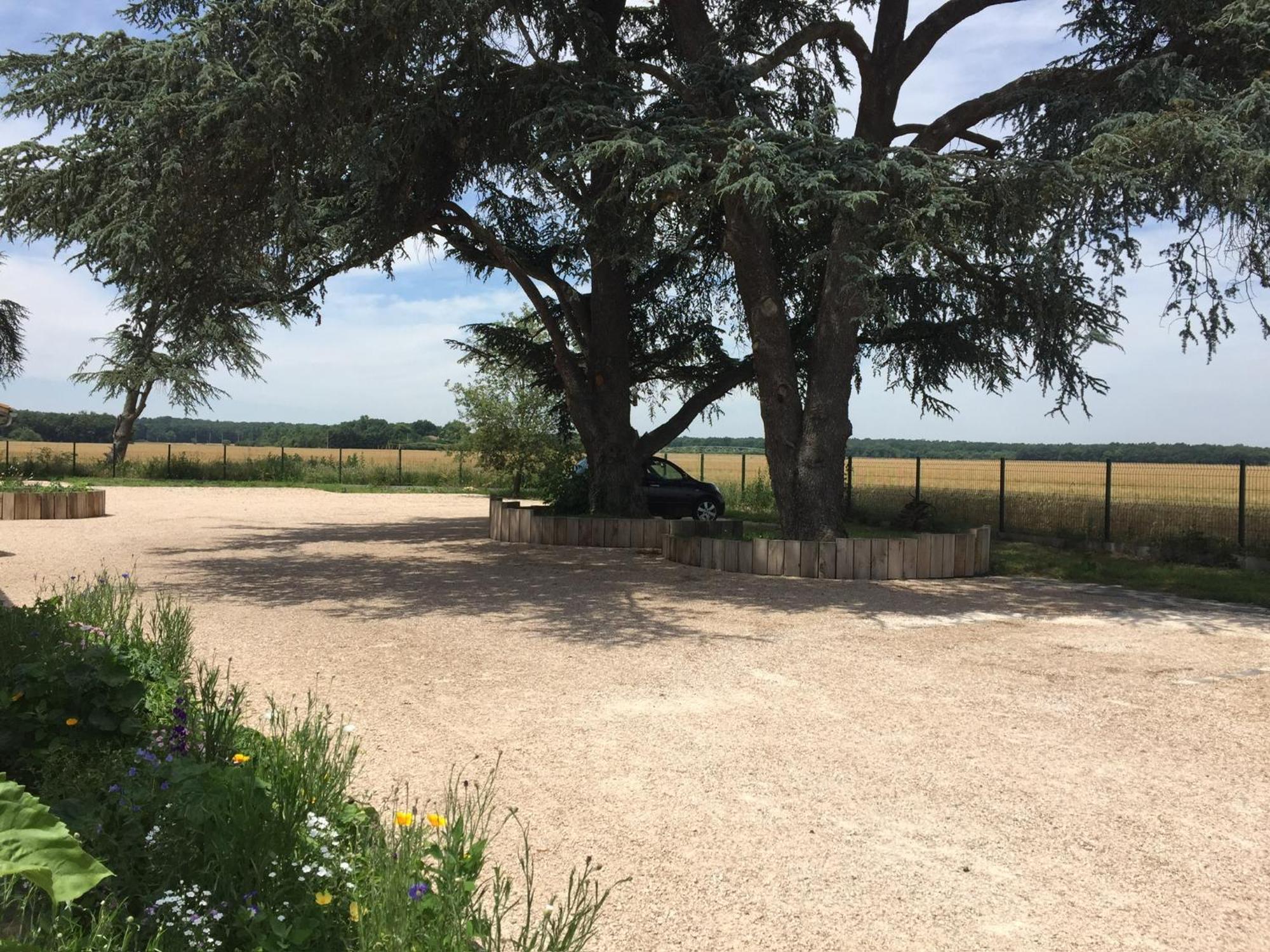La Garoffe Bed & Breakfast Pibrac Exterior foto